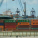 Mexican Ports Handle 17% More TEUs by May This Year