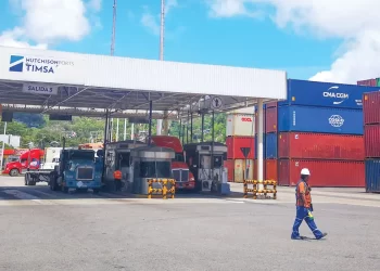 TIMSA: A Quarter Century of Continuous Evolution