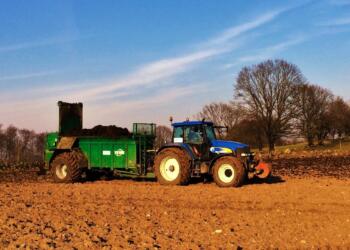 Primary Activities Boost the Mexican Economy in July