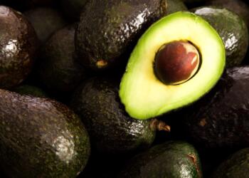 Agri-Food Trade Balance Remains Positive in Mexico; Which Products Were the Most Exported?