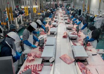 Imports of Brazilian Meat to Mexico Will Increase by Year-End