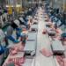 Imports of Brazilian Meat to Mexico Will Increase by Year-End