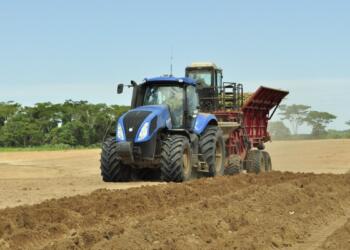AGRICULTURE AND MANUFACTURING BOOST MEXICAN ECONOMIC ACTIVITY IN SEPTEMBER