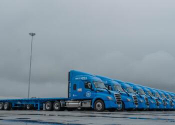 MM Carga increases fleet to continue accelerating in the market