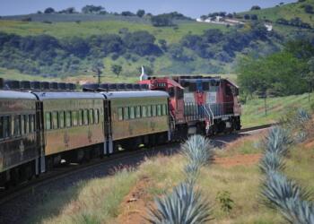 They seek to modify the Railway Service Regulatory Law to protect ecosystems