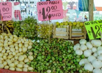 Electricity and Food Drive Inflation in November: Inegi