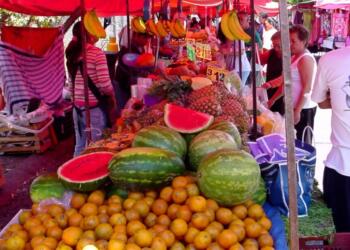 Which entities had the best performance in their economic activity in 3Q24?