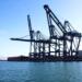 Mexican ports to exceed 9 million TEUs operated in 2024