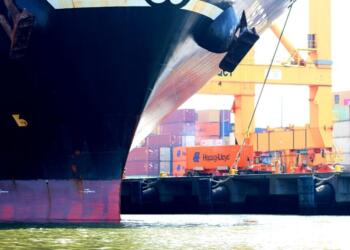 Manzanillo Port Handles 0.8% Less Cargo in 2024