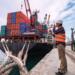 Mexico, the seventh most promising emerging logistics market in the world