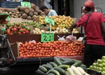 Agricultural products and air transport contribute to inflation slowdown in January