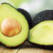 Avocado from Jalisco, expansion in the international market