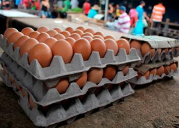 Egg and meat prices “accelerate” inflation in the first half of February