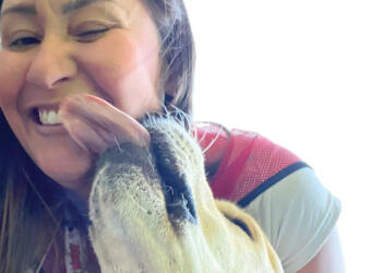 Sendan Logistics, faithful companion