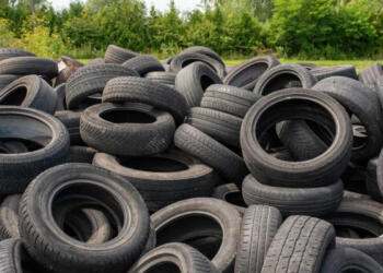 The paths that Juan Pablo Ríos y Valles will follow as head of the CNIH in his second term