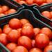 Mexico will talk with the US to avoid tomato tariffs; they can’t replace us: Agriculture