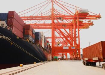 Customs clearance in Manzanillo is proceeding slowly: AAAPUMAC