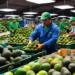 May 5th celebration boosts Mexican avocado exports to the US: APEAM