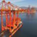 Contecon Manzanillo adds six cranes to facilitate its logistics operations.