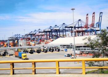 Manzanillo Customs operates with only five inspectors; losses estimated to be in the millions due to operational chaos.