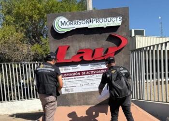 The Ministry of Economy suspends a company for alleged irregular steel imports.