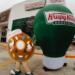 The logistics behind freshness, Krispy Kreme Mexico’s daily operation