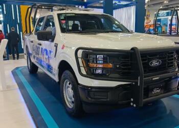 They don’t adapt, they come ready-made: Ford’s commitment to utility vehicles for safety