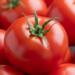 What would be the impact of a potential US tariff on Mexican tomatoes?