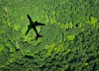 Latin America has the potential to produce SAF; its development needs to be promoted.