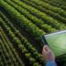 FarmBeats: Technology that grows the future