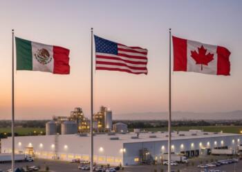 Review of the USMCA, a window of opportunity for the Sinaloa industry