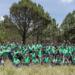 Green Commitment: ANPACT promotes reforestation in the Sierra Morelos