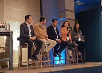 Fleet leasing and light used vehicles: a market with complex rules