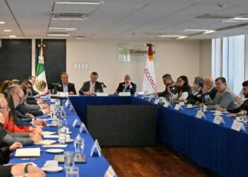 Home  Economy Consultations begin with private sector initiatives ahead of USMCA revision