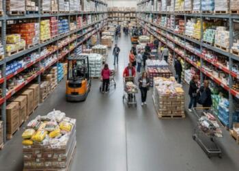 Wholesale trade revenues in 2024, driven by agricultural raw materials