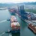 Container traffic: moderate growth and decline in key ports