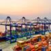Mexican ports, with “good tides” in TEU operations during 2025