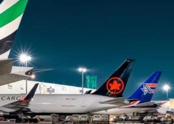 Air cargo at AIFA marks 11 consecutive months of decline; AICM “takes off”