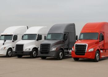 These are the brands that dominate the registration of cargo vehicles