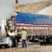 Logistics as “collateral damage” in the operation against “El Mencho”; trucking as a focus for road