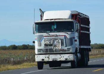 Structural challenges in fleet renewal put pressure on the trucking industry