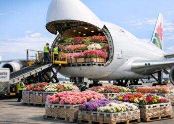 Flowers “conquer the skies” for Valentine’s Day