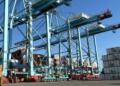 APM Terminals, nine years playing in the first division in Mexico