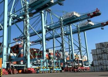APM Terminals, nine years playing in the first division in Mexico