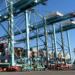 APM Terminals, nine years playing in the first division in Mexico