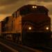These were the most stolen products on the railroad in Mexico during 2025