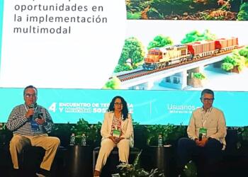 Multimodal transport: between efficiency and lack of infrastructure