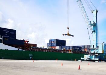 Importers Registry: The major purge in Mexico is due to inactivity, not fraud