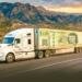 Super Peso: Pressures and Opportunities in Motor Transport