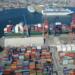 Freight forwarders, international trade logistics engineers